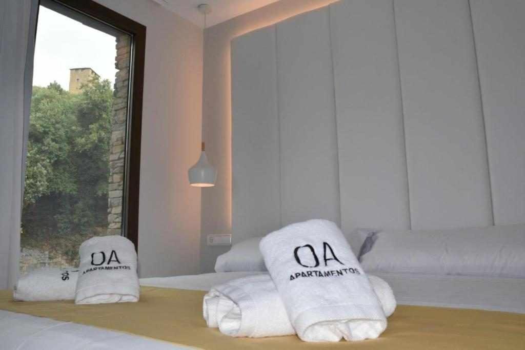 Apartamentos Ordesa Aínsa Стая снимка